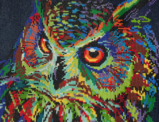 Diamond Painting Fix und Fertig Eule